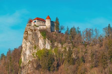 Bled castle is the oldest castle in Slovenia and one of its most famous landmarks dating back to year 1004, shot against february morning skyのeditorial素材