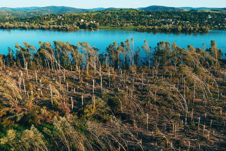 Aerial shot of devastated forest landscape after supercell storm in summer, drone pov shot of environmental damage scenery from aboveの写真素材