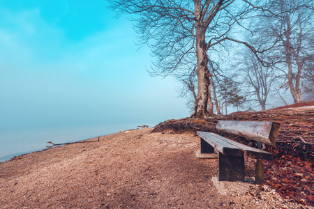Serenity of Bohinj Lake on a foggy morning with empty wooden bench on shoreline, peaceful ambiance of one of Slovenia's most beautiful natural attractionsの写真素材