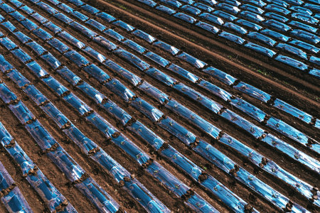 Aerial shot of plastic sheeting tunnel hothouse equipment on watermelon plantation from drone pov, high angle viewの写真素材