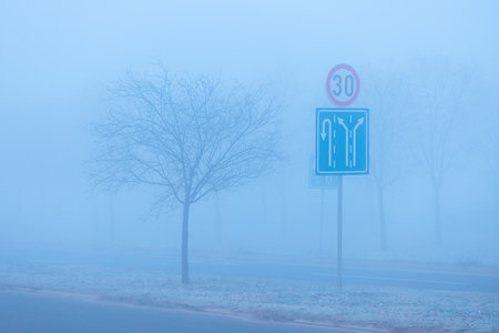 Traffic signs and lonely tree by the road in foggy winter morning, selective focusの写真素材
