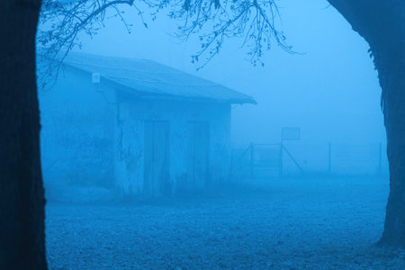 Old abandoned shed in fog, selective focusの写真素材