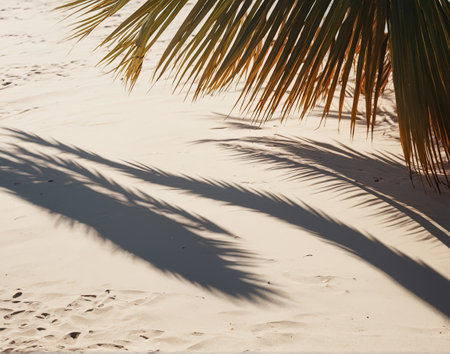 Palm tree leaf casting shadow on warm sand of tropical island tourist resort during summer holiday vacation, generative AI illustrationの素材
