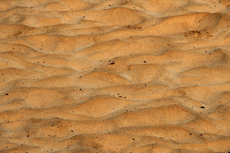 Texture of dirty sand surface as background, selective focus