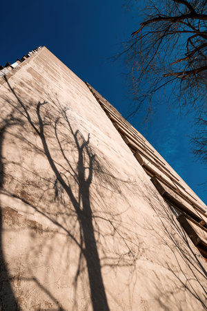 Bare tree shadow on concrete building wall in winter, selective focusの写真素材