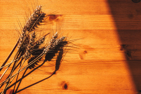 Wheat ears on wooden desk, top viewの写真素材