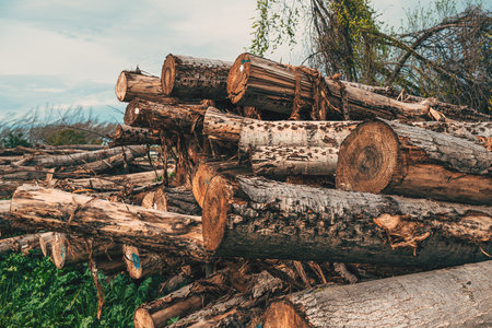Stacked pile of firewood timber, selective focus
