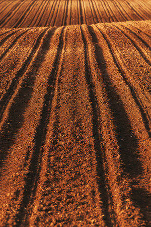 Agricultural field seedbed after crop seeding, selective focus