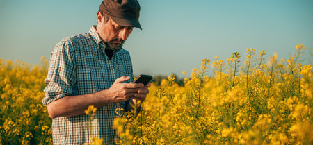 Farmer agronomist using smartphone in blooming oilseed rape field, selective focus