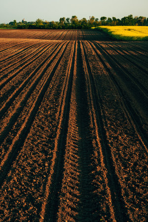 Seedbed preparation, agricultural field soil is ready for sowing season, selective focusの写真素材