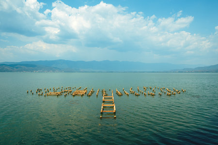 Lake pier dock base structure at Doiran in North Macedonia, selective focusの写真素材