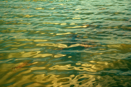Lake Doiran water surface as abstract natural background, selective focusの写真素材