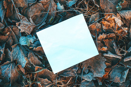 Blank message note paper on cold frosty ground covered with dry grass and leaves in winter, top viewの写真素材