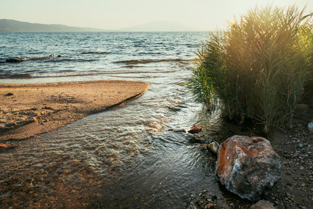 Richeios river mouth, one of the oldest rivers in Greece, flowing from lake Volvi through Macedonian Tempi valley to the Gulf of Strimonikos. Selective focus.の写真素材