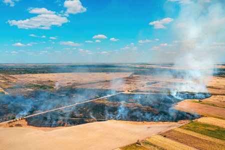 Cultivated landscape burning in summer, aerial shot of wildfire in countryside, drone pov high angle viewの写真素材