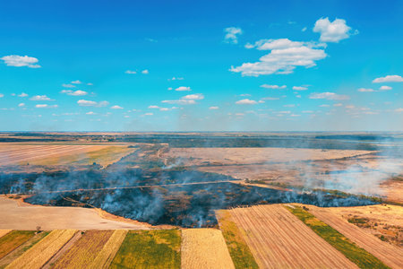 Cultivated landscape burning in summer, aerial shot of wildfire in countryside, drone pov high angle viewの写真素材