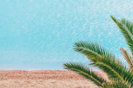 Palm tree leaves at seaside beach, selective focusの写真素材