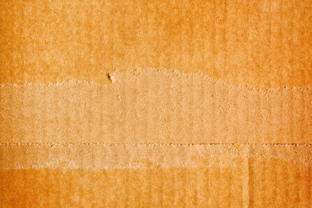 Torn cardboard paper background and texture, design elementの写真素材