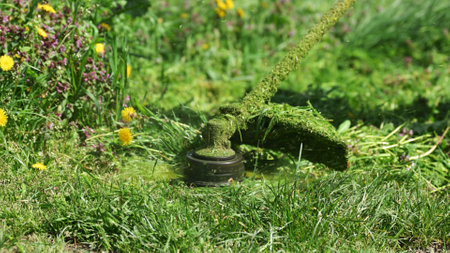 Grass trimmer cutting lush green lawn grass blades, selective focus