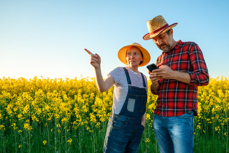 Smart farming, using smartphone app on canola rapeseed plantation field, portrait of two farmers,...