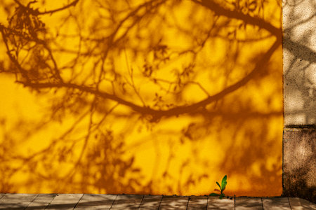Tree shadow on the wall, abstract organic natural pattern in spring