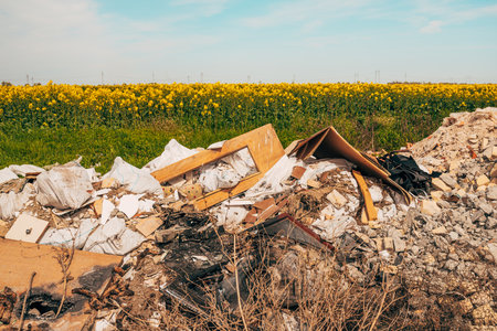 Illegal dumping in cultivated rapeseed field, selective focusの写真素材