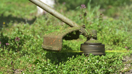 Grass trimmer cutting lush green lawn grass blades, selective focus