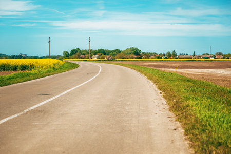 Empty country road through cultivated rapeseed canola fields in spring, selective focusの写真素材