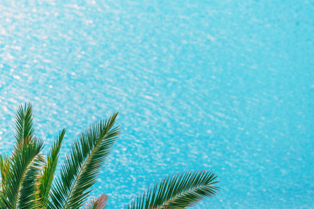 Palm tree leaves at ocean beach, selective focusの写真素材