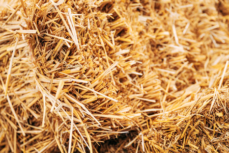 Hay bale stack on farm, selective focusの写真素材