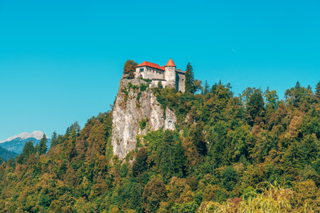 Historic Bled Castle perched above Lake Bled, Sloveniaâs oldest fortress dating to 1004, a cultural landmark and popular tourist destination. Selective focus.の写真素材