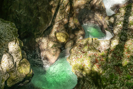 The turquoise waters of the Mostnica river carve a crystal path through its steep gorge, surrounded by mossy rocks and the quiet wilderness of Triglav National Park. Selective focus.の写真素材