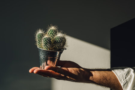 Closeup of male hand holding recycled tin can used as pot for spiny pincushion cactus, sustainability and reuse concept. Selective focus.の写真素材