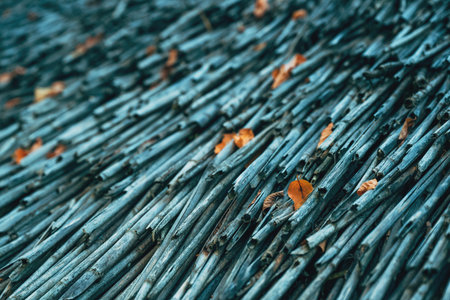 Closeup of weathered reed stalks with scattered autumn leaves, rustic organic texture in soft...