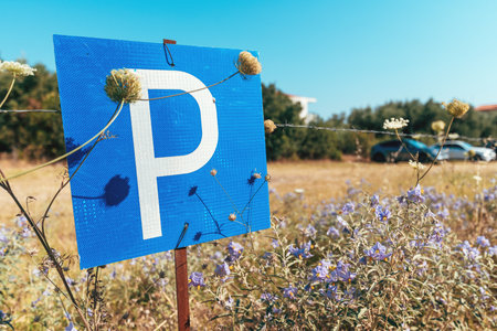 A blue parking sign with a large white "P" stands in a wildflower-filled field under a clear blue sky. The area appears to be an informal or rural parking lot, with cars visible in the backgroundの写真素材