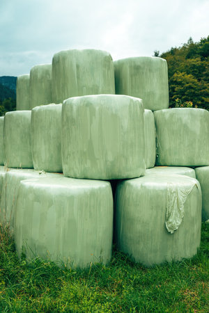 Large green silage bales neatly arranged along a rural farmyard, with mountains rising behind the barns. Selective focus.の写真素材