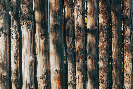 Texture of wooden log wall of reconstructed Celtic tribal fort, primitive architecture and early military defense construction, cultural heritage and archeology theme.の写真素材