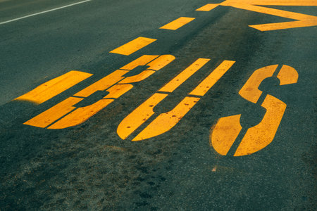 Freshly painted yellow Bus stop road marking on asphalt, captured in a clean close-up view. Selective focus.の写真素材
