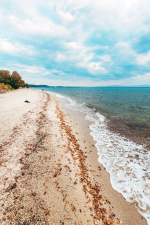 A peaceful beach scene with gentle waves washing onto the sandy shore, scattered with seaweed. A lone person walks along the shoreline in the distance. Selective focus.の写真素材