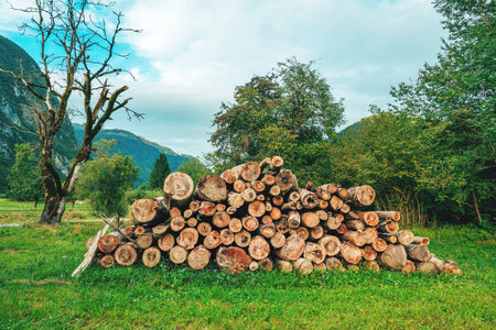Sawed tree trunks neatly stacked on farmland, prepared for firewood in a traditional Slovenian...