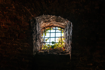 Historic fortress dungeon window with iron bars and strong light beyond, representing captivity,...