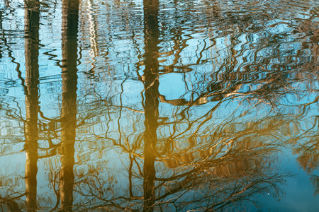 Leafless forest reflected in calm blue lake at golden hour, gentle ripples forming organic abstract...