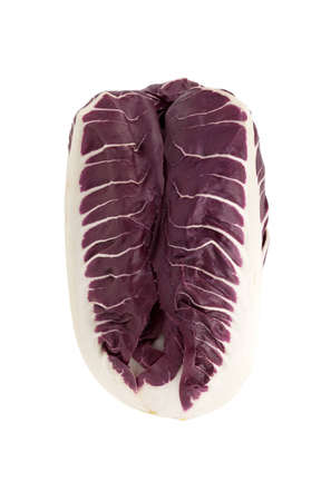 Italian Radicchio Treviso red chicory isolated on white background.の写真素材