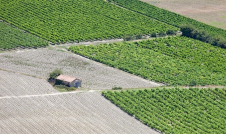 Vineyards rows and rural hut from an aerial view  Countryside landscape in Luberon, Provence, France の写真素材