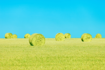Hay rolls on horizon, blue sky and yellow field in summertime  Tuscany, Italyの写真素材