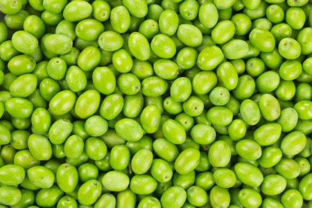 Fresh Harvested Green Olive for olive oil production pattern texture  Raw fruit for olive oil  Tuscany, Italy   の写真素材
