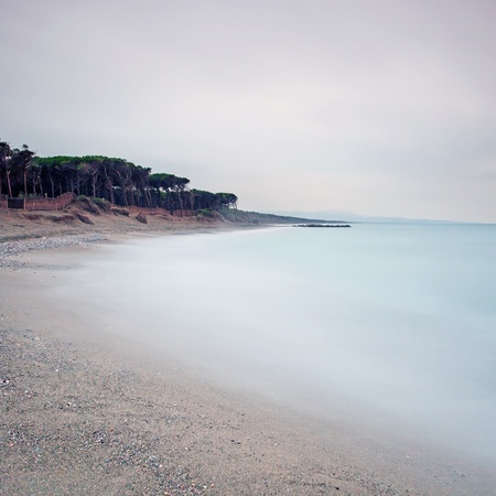 Ocean sand beach bay, pine forest and cloudy sky in a bad weatherの写真素材
