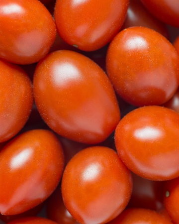 Fresh italian datterino cherry red tomato background pattern textureの写真素材