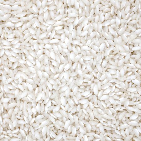 Rice organic wheat raw cereal close up texture or background  Italian healthy eatingの写真素材