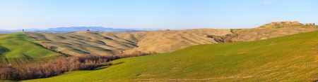Italian panorama  Cypress tree, rolling hills and green field, rural landscape in Crete Senesi, Siena, Tuscany  Italyの写真素材